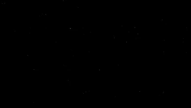 Photo of Пальто-парка