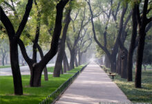 Photo of Пальто-парка