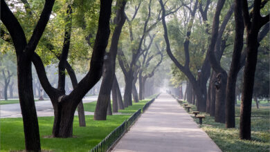 Photo of Пальто-парка