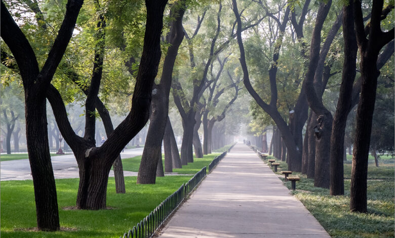 Photo of Пальто-парка