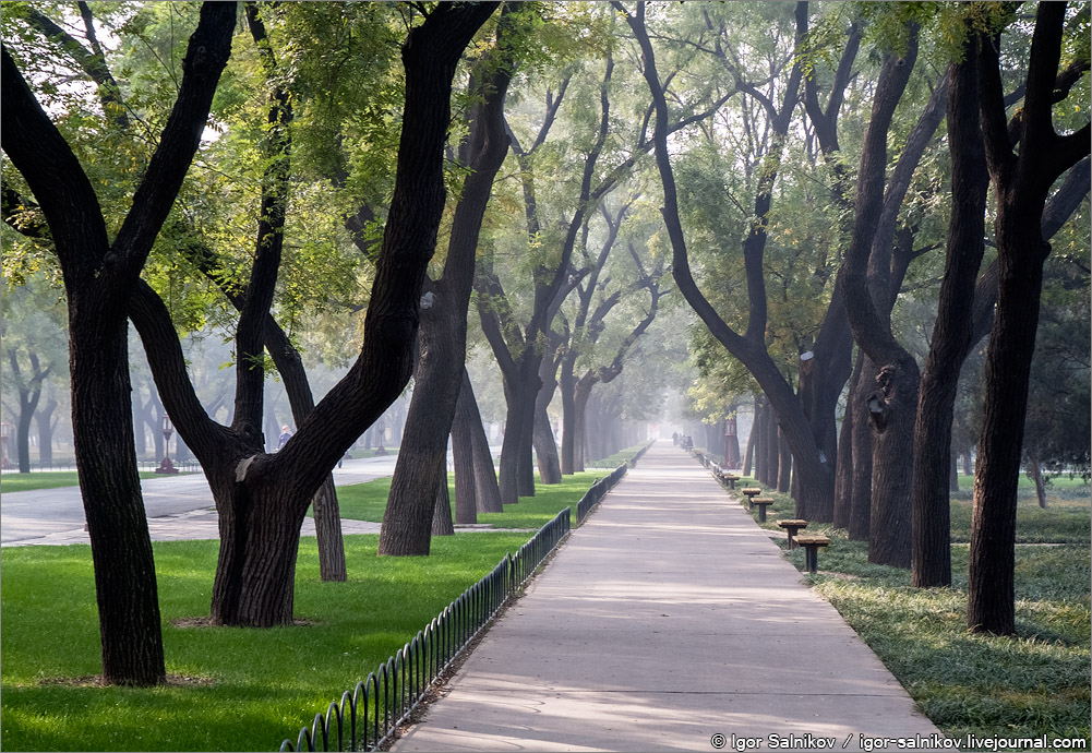 Фото 35 — Пальто-парка