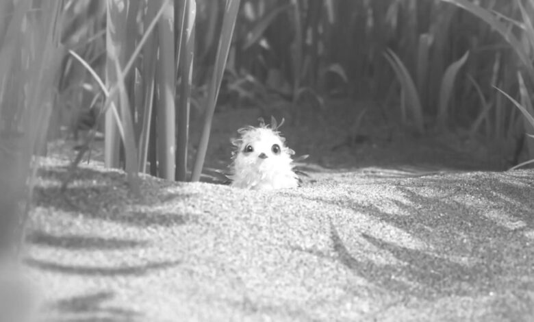 Photo of Пальто-песочник