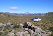 Photo of Практичное пальто от Patagonia