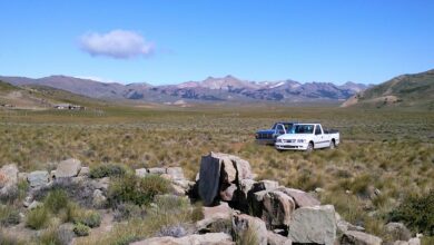 Photo of Практичное пальто от Patagonia