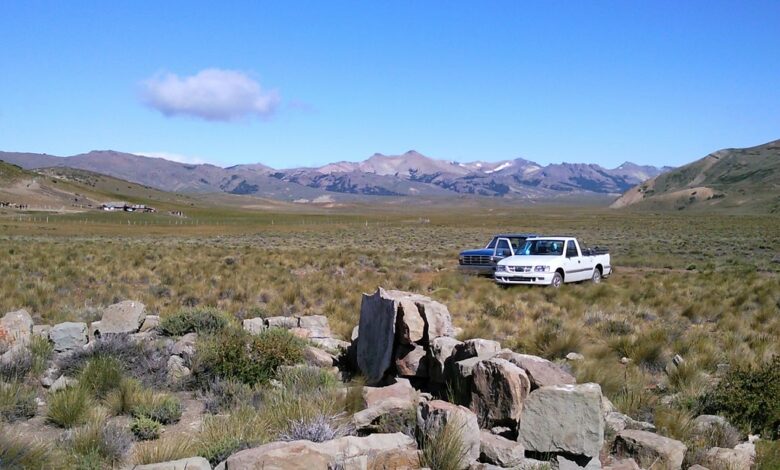 Photo of Практичное пальто от Patagonia